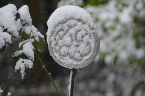 Schneefall im Garten