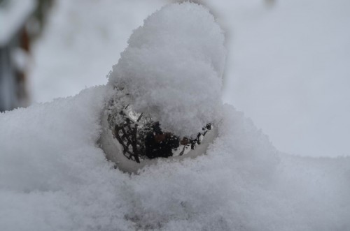 Neuschnee auf Gartendeko