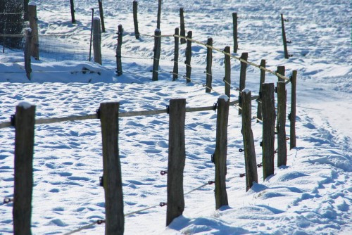 Größenänderung DSC_0045