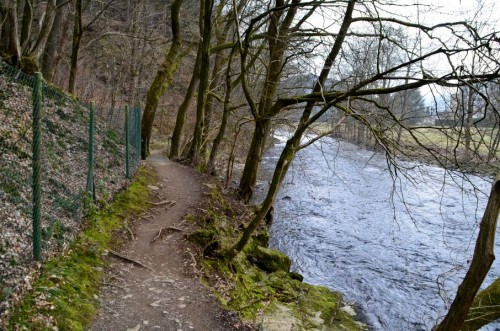 Schmaler Weg an der Agger entlang