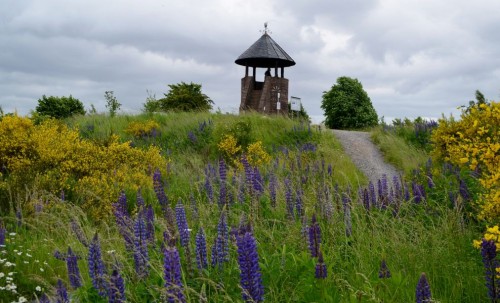 Römerturm auf der Sophienhöhe