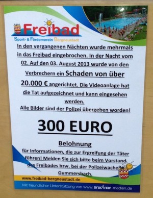 130806freibadbergneustadt