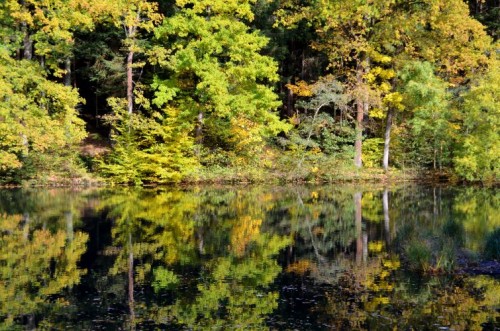 Hexenweiher bei Spreitgen