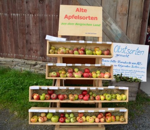 Alte Obstsorten und viele zum probieren