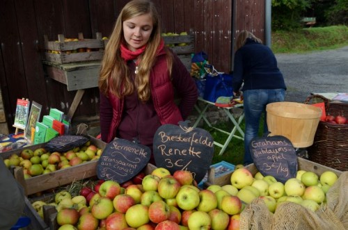 Obstewiesenfest 2013 / Text und Bilder : Uwe Schlegelmilch