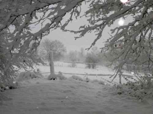 Schnee am 06.12.2013 / Bilder: Uwe Schlegelmilch