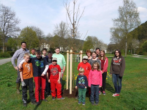 Baum des Jahres in Morsbach gepflanzt / Bild: C. Buchen