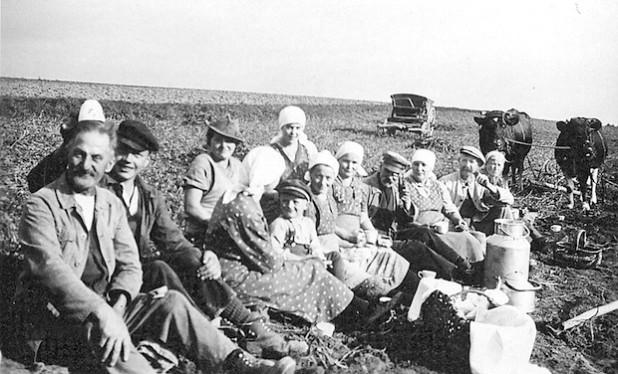 Ein historisches Foto von der Kartoffelernte im Bergischen Land. (Foto: Museum Schloss Homburg)