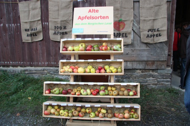 Für Apfel- und Birnbäume, sowie Zwetschen, Quitten oder Mispeln ist jetzt die richtige Pflanzzeit - Foto: S. Fröhling