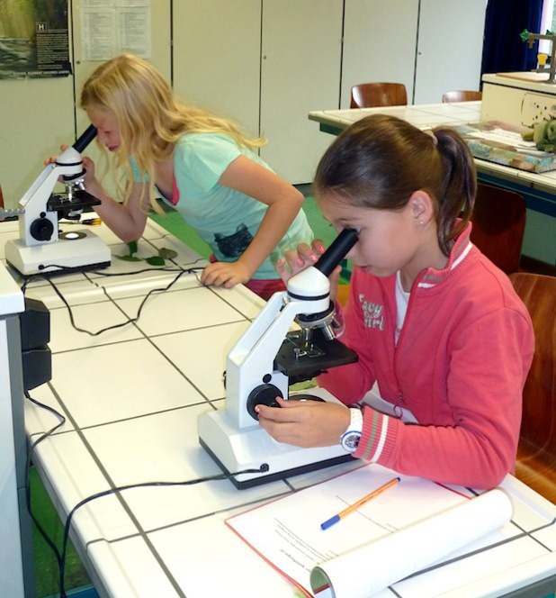 Quelle: Gesamtschule Waldbröl