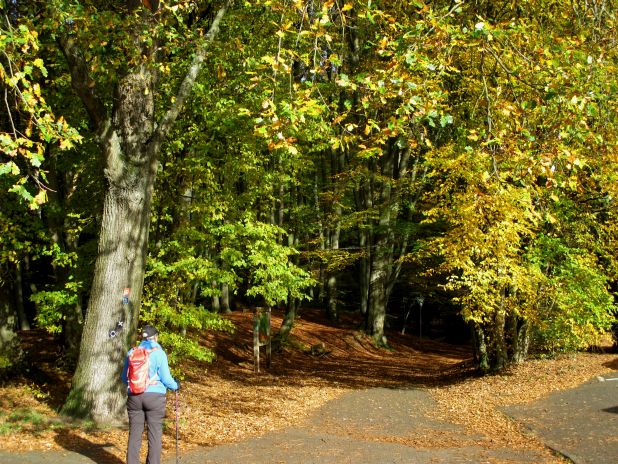 Herbstfarben begleiten den Weg