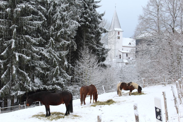 lieberhausen-bonte-kerk-pferde