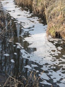 Foto: NABU-Oberberg