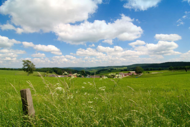 Foto: Druckreif Medien