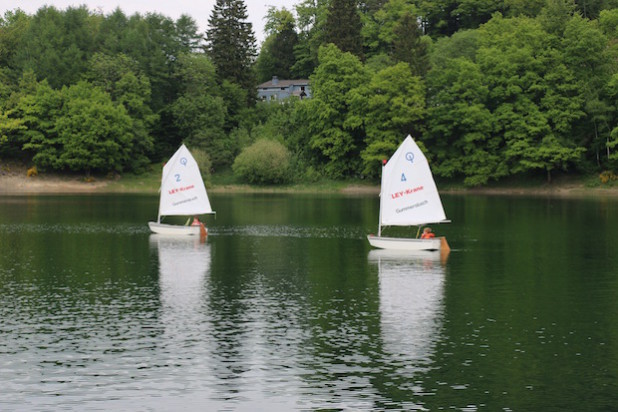 Regatta der Optimisten - Foto: Thomas Beinlich, Segelclub Aggersee e.V.