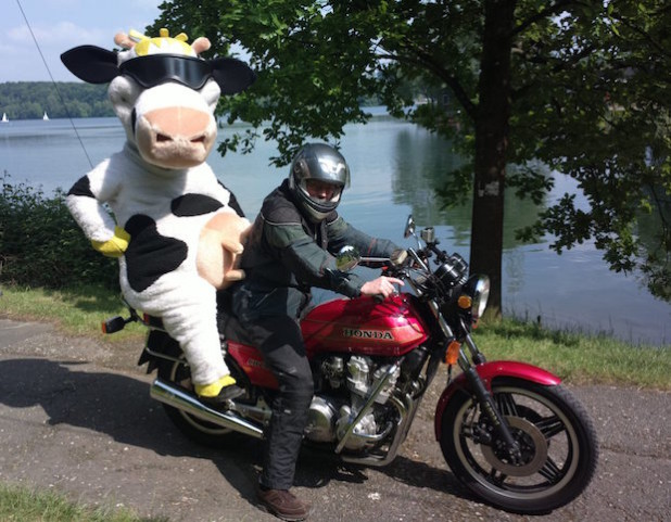 Kuh Lotte genießt die Anfahrt zur Zornigen Ameise stilgemäß auf dem Soziussitz eines Bikers (Foto: LV Milch NRW)