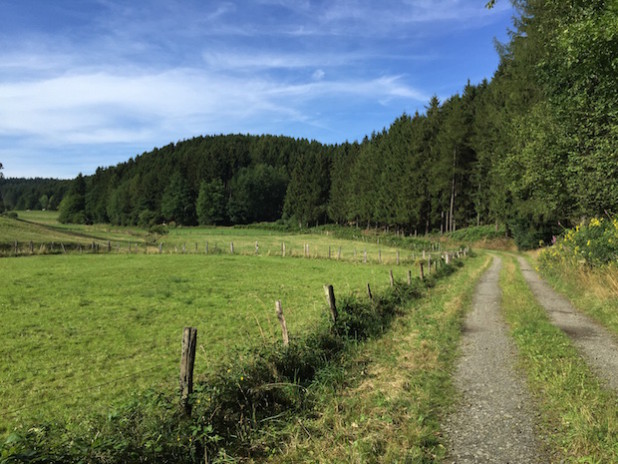 Der Kleine Wiehlquellenwanderweg - Foto: Kurverwaltung Reichshof