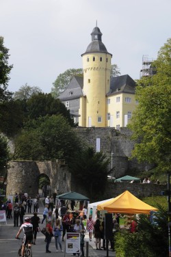 Am Fuße von Schloss Homburg entsteht auch in diesem Jahr wieder eine "(Natur)-Erlebnismeile" (Foto: Biologische Station Oberberg)