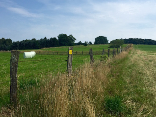 Foto: Kurverwaltung Reichshof