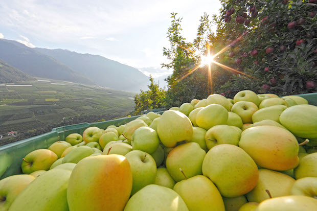 Foto: djd/EOS Südtirol