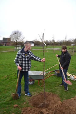 Mirco und Jean beim Einpflanzen des Baumes (Foto: Thomas Trappe, LVR).