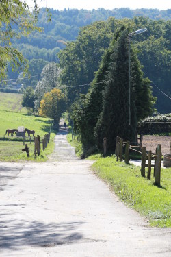 Wandern in Nümbrecht (Quelle: Nümbrechter Kur GmbH)