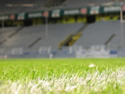 Sportwetten liegen im Trend Sportwetten liegen im Trend