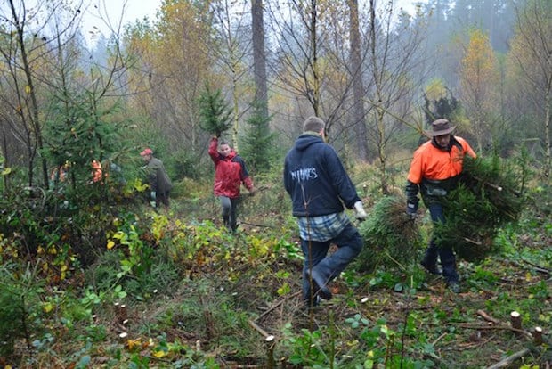 Waldjugend im Einsatz an der Silberkuhle - Quelle: Lothar Selbach