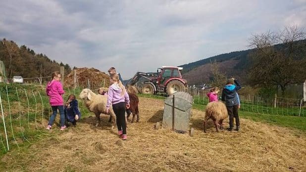 Der Klosterhof Bünghausen bietet ein Ferienprogramm an. Der Klosterhof Bünghausen bietet ein Ferienprogramm an.
