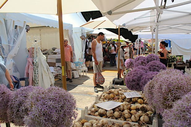 Pflanzen, Kräuter und Zwiebeln für den heimischen Garten gab es in Hülle und Fülle auf der Landpartie zum Kaufen 