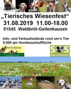 Alles rund um das Thema Tier gibt es auf dem Tierischen Wiesenfest