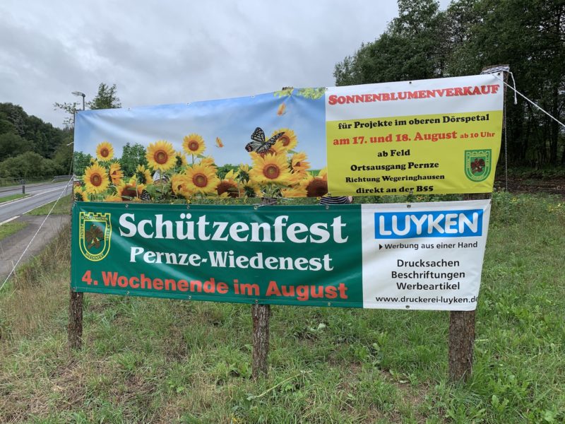 Sonnenblumen Verkauf im Dörspetal Pernze