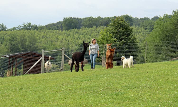 2020-06-18-Fellnasen-2