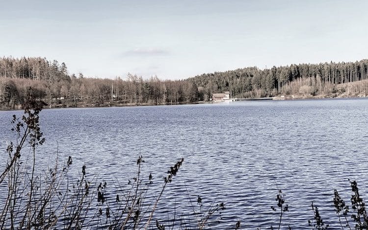 2021-06-15-Bruchertalsperre