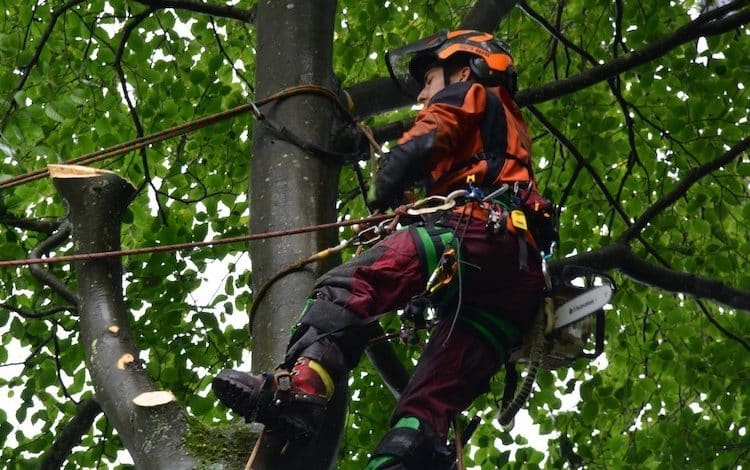 2021-09-20-Waldjugend
