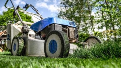 Zur Gartenarbeit gehört auch das Rasen mähen.