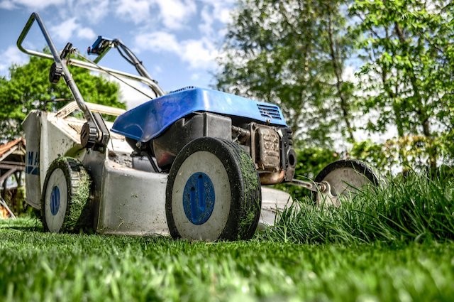 Zur Gartenarbeit gehört auch das Rasen mähen.