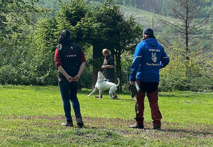 2022-05-30-Schaeferhundeverein