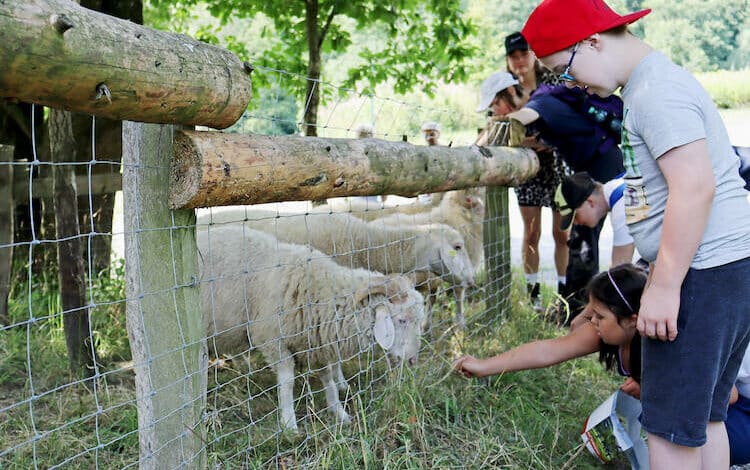 2022-08-11-Ferienbetreuung
