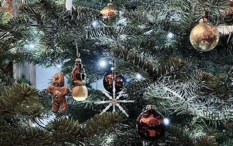 2023-01-09-Aktion-Weihnachtsbaum
