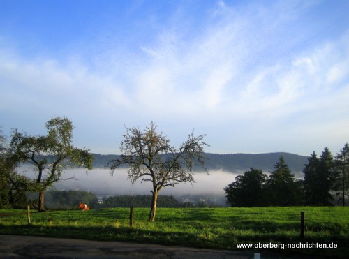 baldenberg030920082