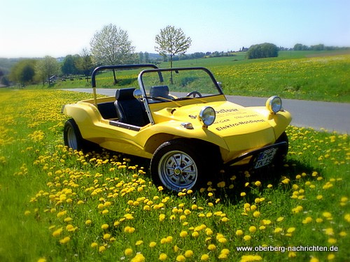 Auf Majas Blumenwiese im Mucherland